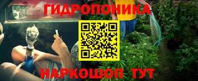 не бодяженный Гатчина