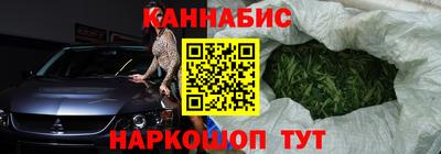 шишки Гай