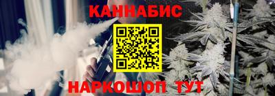 шишки Гай