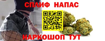 не бодяженный Гатчина