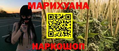 шишки Гай