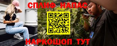 шишки Гай