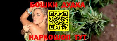 шишки Гай