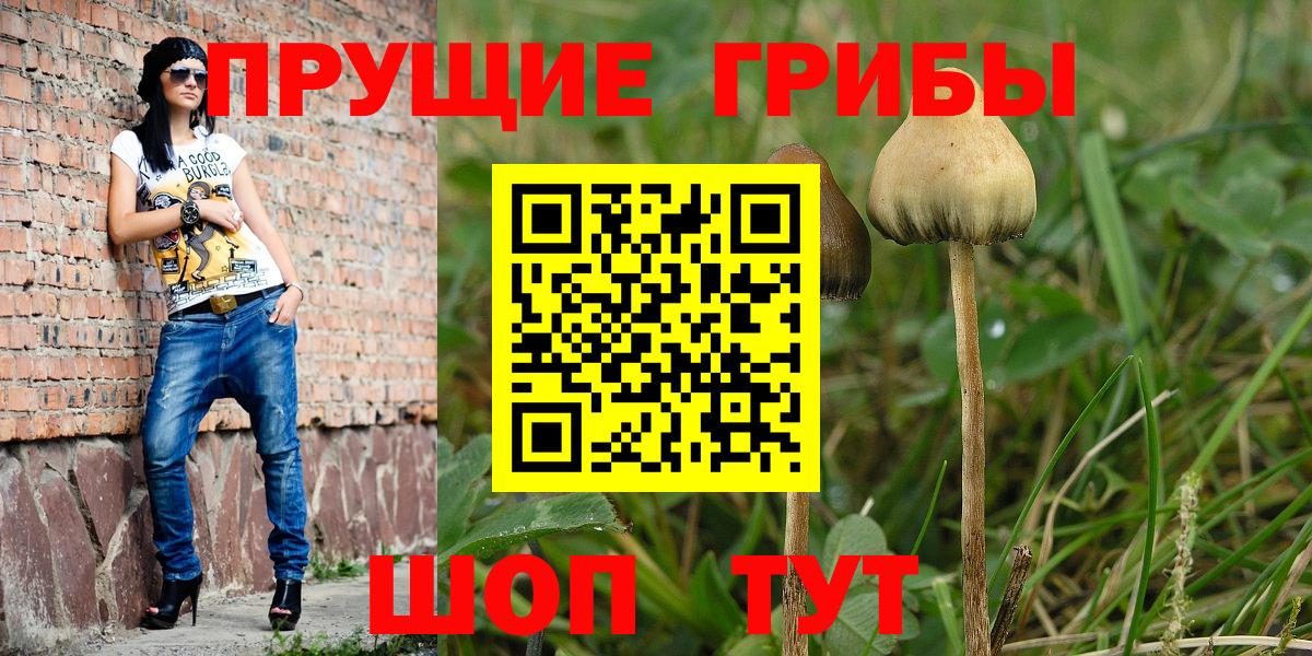 Галлюциногенные грибы прущие грибы Ивантеевка