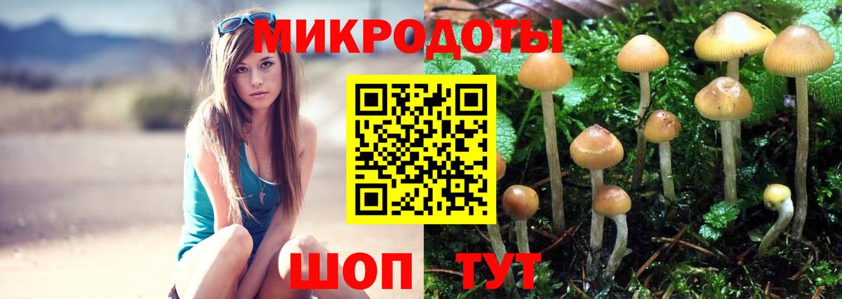 Галлюциногенные грибы GOLDEN TEACHER  Ивантеевка 