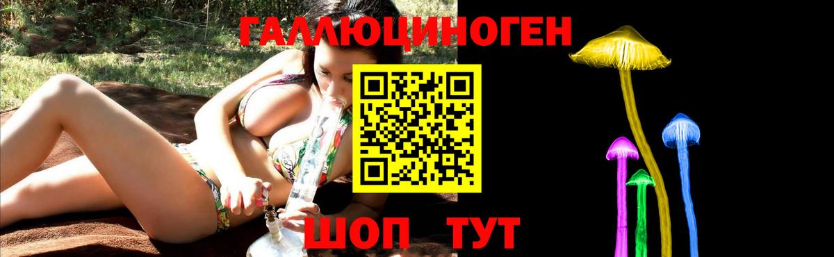 Ивантеевка  Галлюциногенные грибы Cubensis  Вход с VPN 